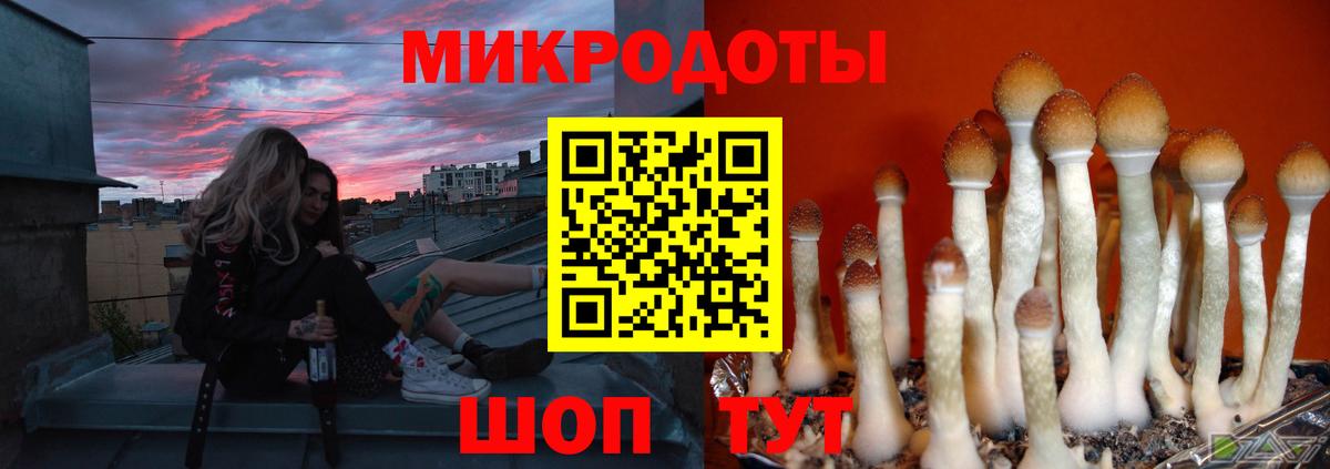 Михайловка  Псилоцибиновые грибы мицелий  Псилоцибиновые грибы GOLDEN TEACHER  Вход с VPN 