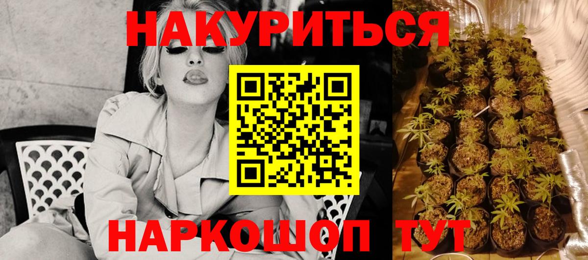 Михайловка  Конопля планчик  Каннабис Bruce Banner  Вход с VPN 